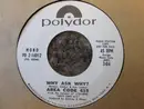 7inch Vinyl Single - Area Code 615 - Why Ask Why? / Ruby