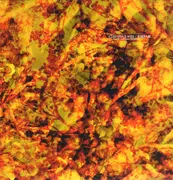 12inch Vinyl Single - Argy / Lee Van Dowski - Ethiopia´s Rise, Bimbam