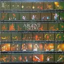 Double LP - Argent - Encore - Obi / Insert