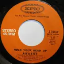 7inch Vinyl Single - Argent - Hold Your Head Up