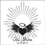Ari Shine - Age / Occupation