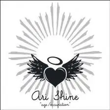 Ari Shine - Age / Occupation