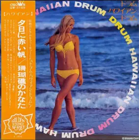 Arita Shintaro & New Beat - Drum Hawaiian Drum