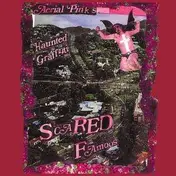 Ariel Pink - SCARED FAMOUS