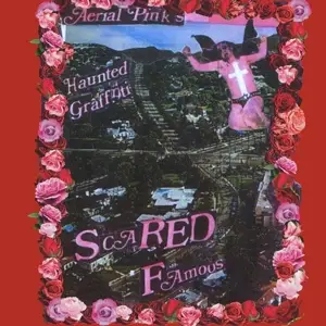 Ariel Pink - Scared Famous/FF