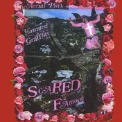 Ariel Pink - Scared Famous/FF