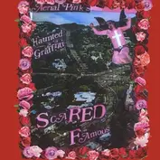 Ariel Pink's Haunted Graffiti