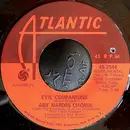 7inch Vinyl Single - Arif Mardin Chorus - Evil Companions