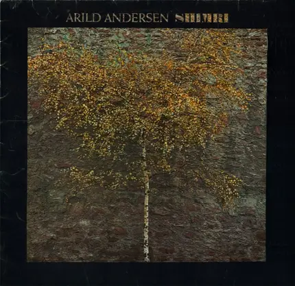 Arild Andersen - Shimri