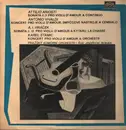 LP - Ariosti / Vivaldi / Hraczek / Stamitz - Virtuoso Compositions For Viola D'Amore