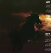 CD - Arise And Ruin - The Final Dawn