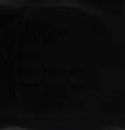 Arkarna - House On Fire