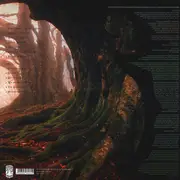 LP - Arrowwood - Beautiful Grave
