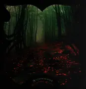 LP - Arrowwood - Beautiful Grave