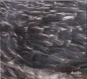 Árstíðir - Árstíðir