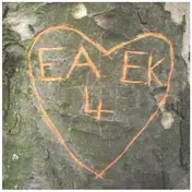 Art Brut - Emily Kane #2