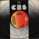 7inch Vinyl Single - Art Garfunkel - Since I Don't Have You - Company Sleeve