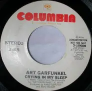 Art Garfunkel - Crying In My Sleep