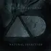 Art Department - Natural Selection