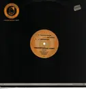 12inch Vinyl Single - Artemis - Elysian Fields / Desideradi - PROMO