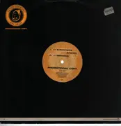 12inch Vinyl Single - Artemis - Elysian Fields / Desideradi - PROMO