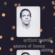 LP - Arthur Russell - Picture of Bunny Rabbit