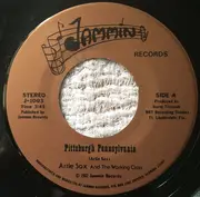 7inch Vinyl Single - Artie Sax And The Working Class - Pittsburgh Pennsylvania / Rock And A Hard Place