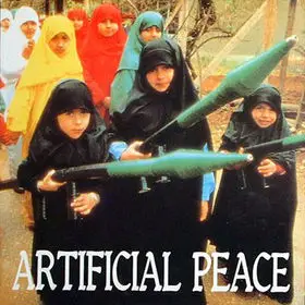 Artificial Peace - Outside Looking In