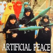 Artificial Peace - Outside Looking In