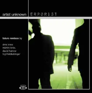 Artist Unknown - Errorist