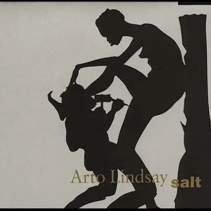 Arto Lindsay - Salt