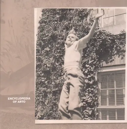 Arto Lindsay - Encyclopedia Of Arto