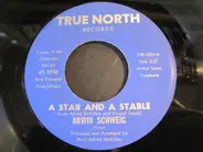 Arwin Schweig - A Star And A Stable / Christmas Angel