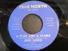7inch Vinyl Single - Arwin Schweig - A Star And A Stable / Christmas Angel
