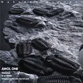 Awol One - Trilobites / Static