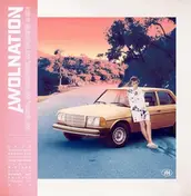 AWOLNATION - My Echo,My Shadow,My Covers and Me