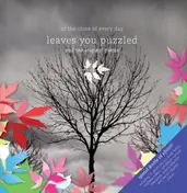 AT THE CLOSE OF EVERY DAY - Leaves You Puzzled