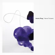 12inch Vinyl Single - Atomic Moog - Natural Transition