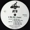 12'' - ATB - 9 PM (Till I Come)