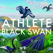 CD - Athlete - Black Swan