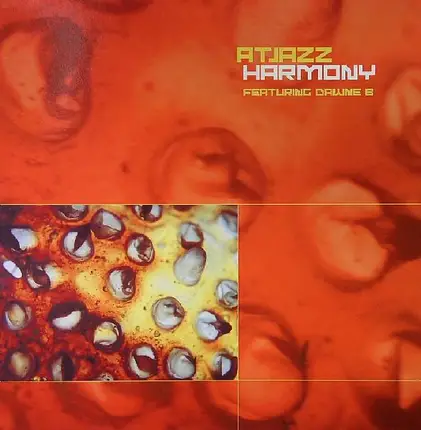 Atjazz - Harmony