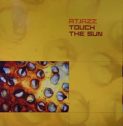 Atjazz - Touch The Sun