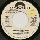 7inch Vinyl Single - Atlanta Rhythm Section - Georgia Rhythm - Styrene