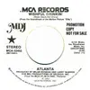 7inch Vinyl Single - Atlanta - Wishful Drinkin'