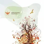 Atlantic Connection - Wonderful Life