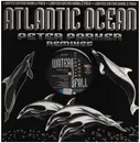 2 x 12inch Vinyl Single - Atlantic Ocean - Waterfall (Peter Parker Remixes)