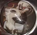 Picture LP - Atrocity - Hallucinations