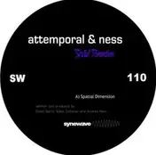 NESS - Spatial Dimension
