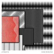 Attraktta - Echo Principle