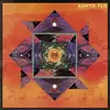 LP - Auntie Flo - Theory Of Flo - 180G VINYL + DOWNLOAD / GATEFOLD